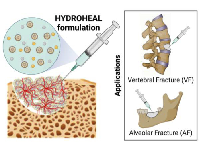 HYDROHEAL2