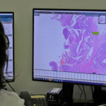 DigiPatICS Ferran Marquès