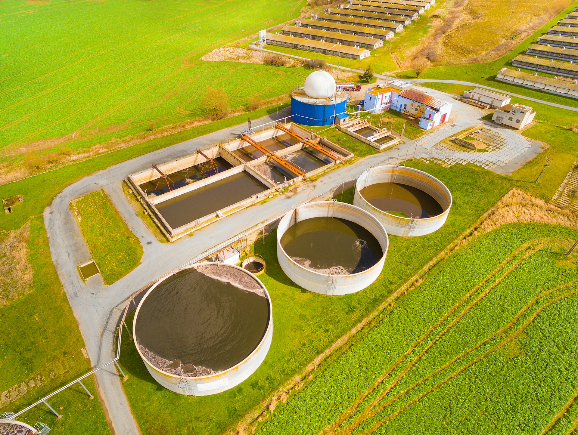 Secció 7