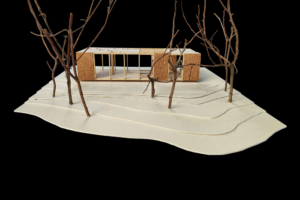 CASA BOSC
